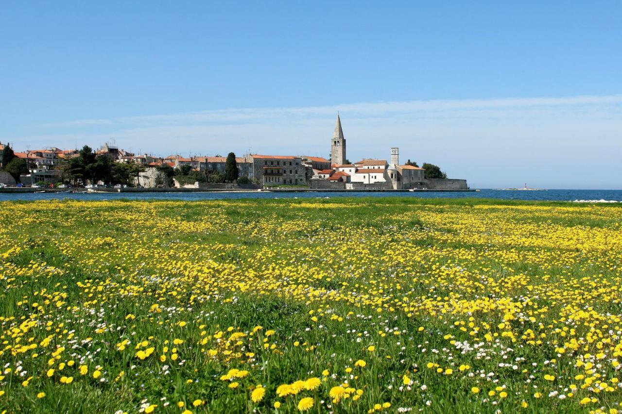 Villa Vita in Poreč - Haus für 6-8 Personen Kaštelir Exterior foto